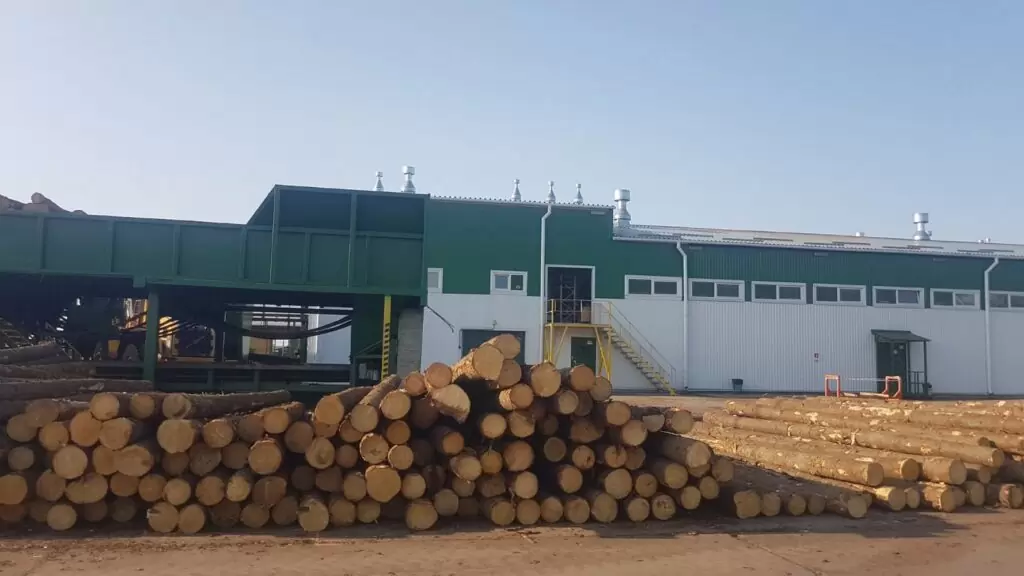 Строительство сушильных камер на территории ПУП «Витебская лесопилка» по ул. Базовая, 14 в г. Витебске